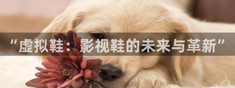 日本午夜电影网站