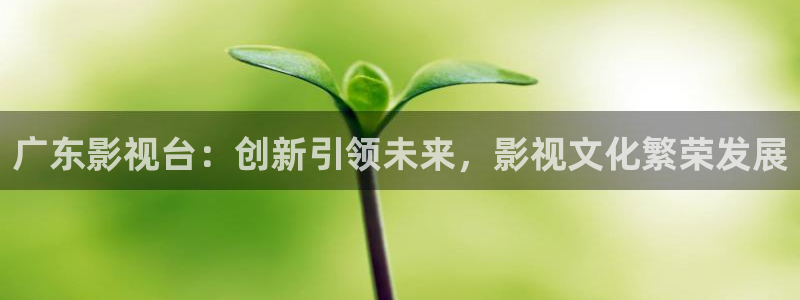 神马午夜电影天堂