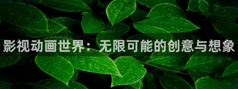 成人午夜精品电影在线观看